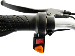 Электровелосипед GreenCamel Трайк-24 V3 (R24 350W 48V12Ah) синий