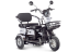 Электротрицикл Rutrike Gelbert Caf 48V/60V 600Вт